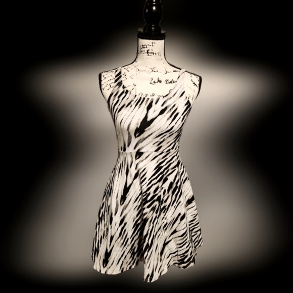 Express Sleeveless Skater Dress - Picture 3 of 11